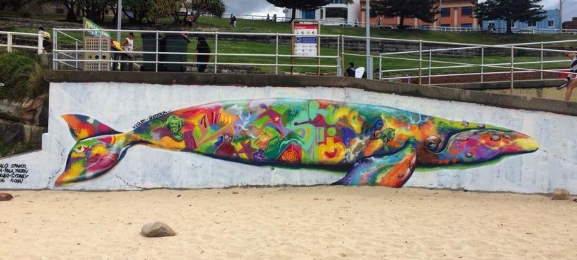 2016 – Southern Right&nbsp;Whale