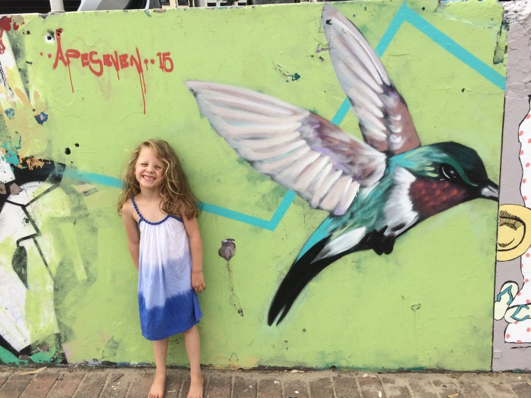 2015 - Apeseven - Hummingbird Skulls - Bird