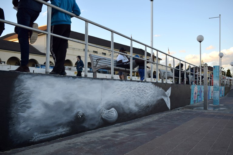 2017 - Bako Chile - Bondi Whale
