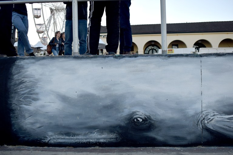 2017 - Bako Chile - Bondi Whale - close-up