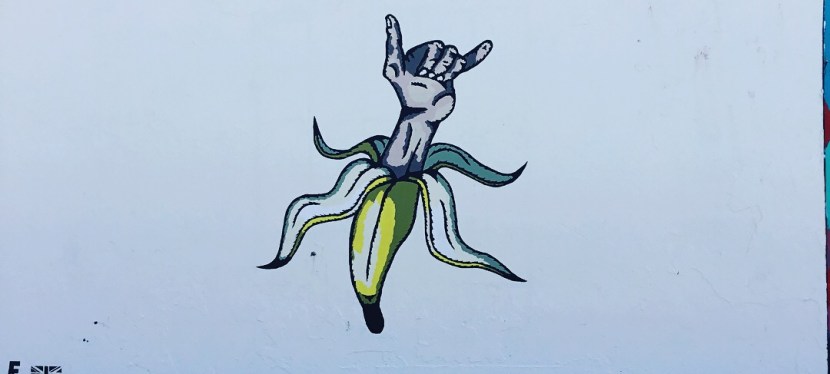 2017 – Shakka&nbsp;Banana