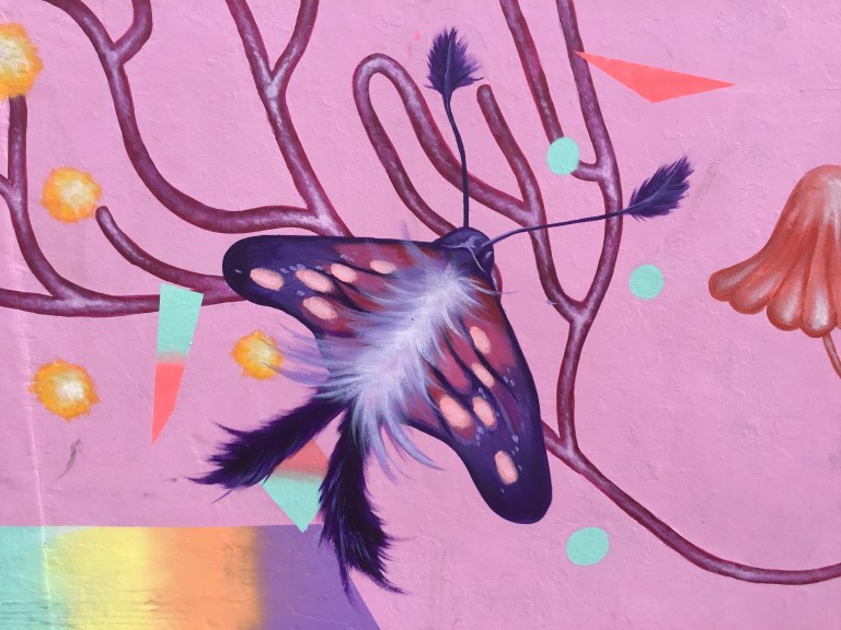 2018 - Zeke's Lunchbox - Dissect - Detail Moth