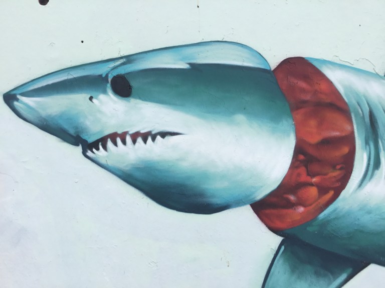 2018 - Apeseven - Exhibit A - Shark Head