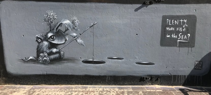 2019 – Plenty More Fish in the&nbsp;Sea