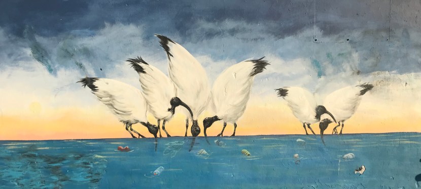 2018 – Bin Chicken Opera&nbsp;House