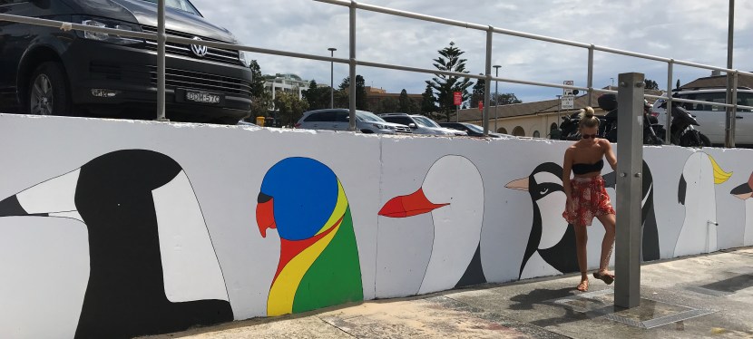 2019 – Birds of&nbsp;Bondi