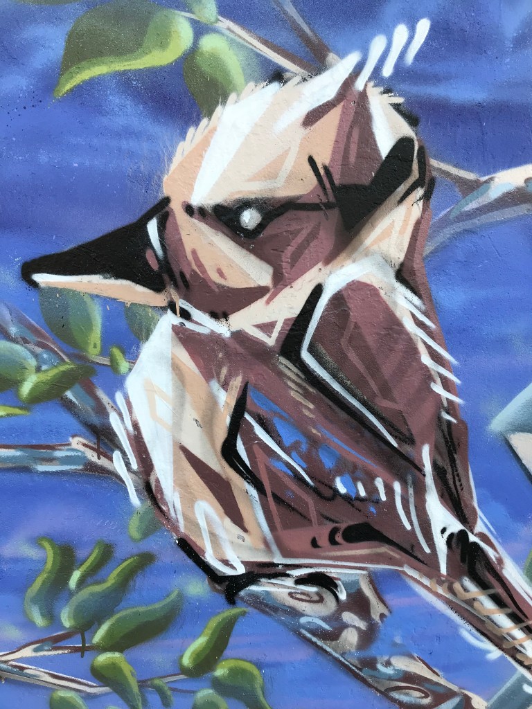 2019 - Kookaburra - Detail